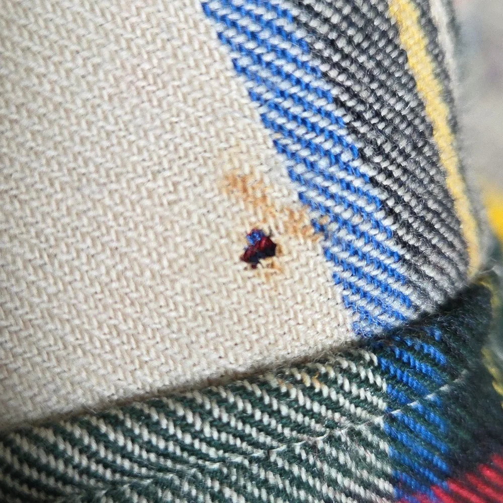 Polo Ralph Lauren Y2K Plaid Flannel Wool Shirt Hole Gorpcore